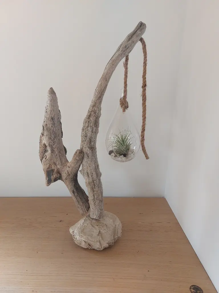 L'art et la nature