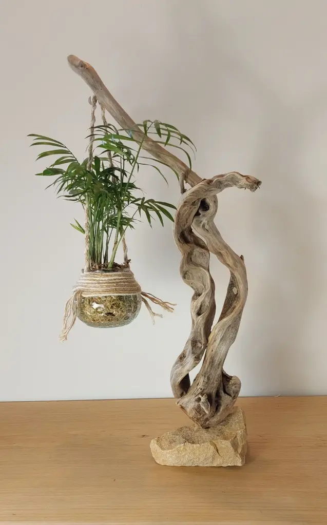 L'éveil du jardin de verre