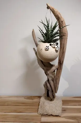 Gardien des Dunes