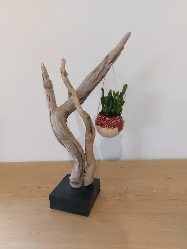 Equilibre sauvage