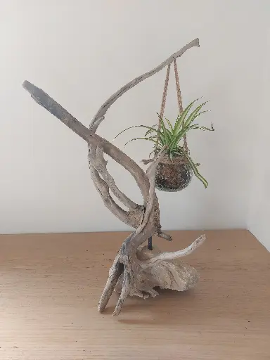 Verte évasion