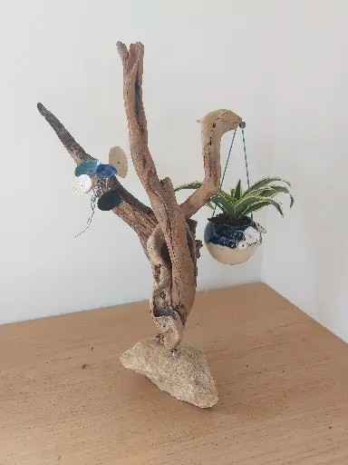 Oiseau de la forêt