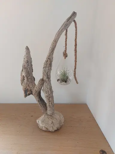 L'art et la nature