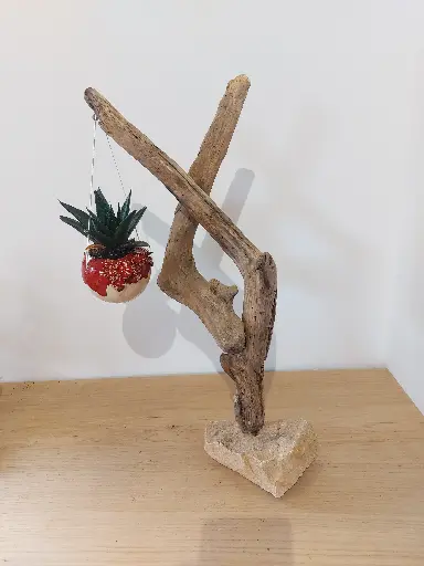 Nature brut