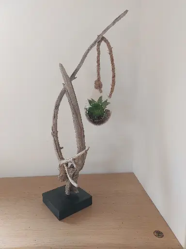 Nature en création