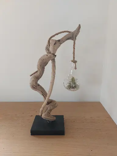 Nature et design