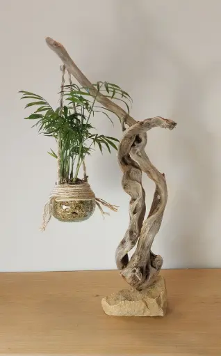 L'éveil du jardin de verre